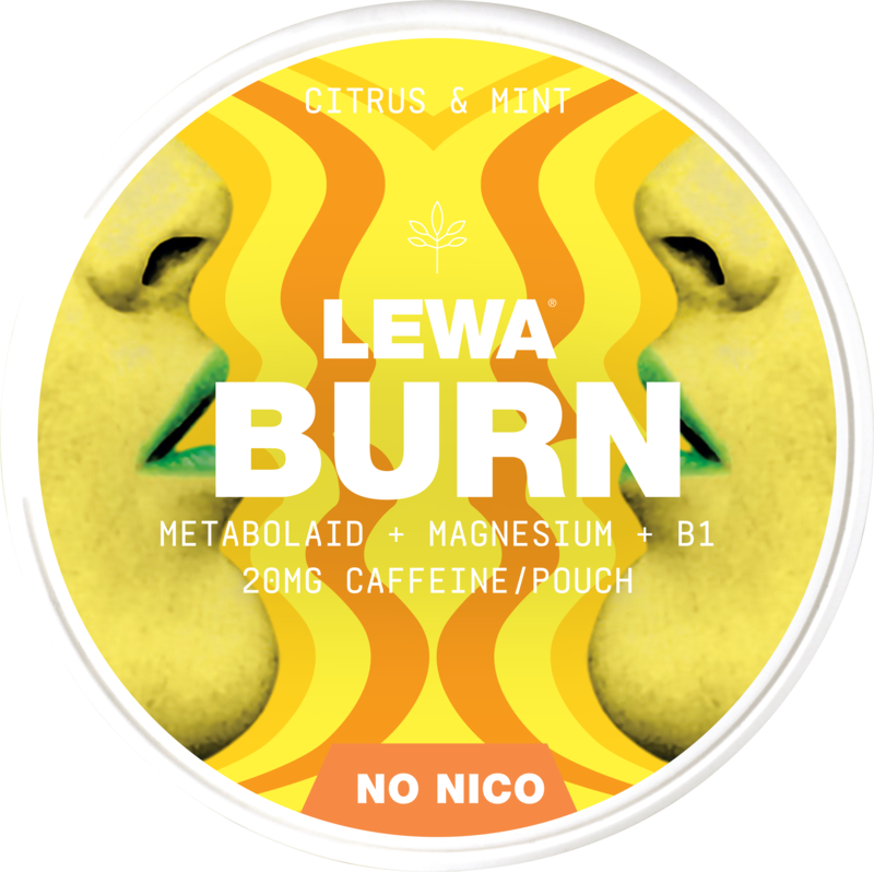 Lewa Burn Citrus Mint ShopSnus