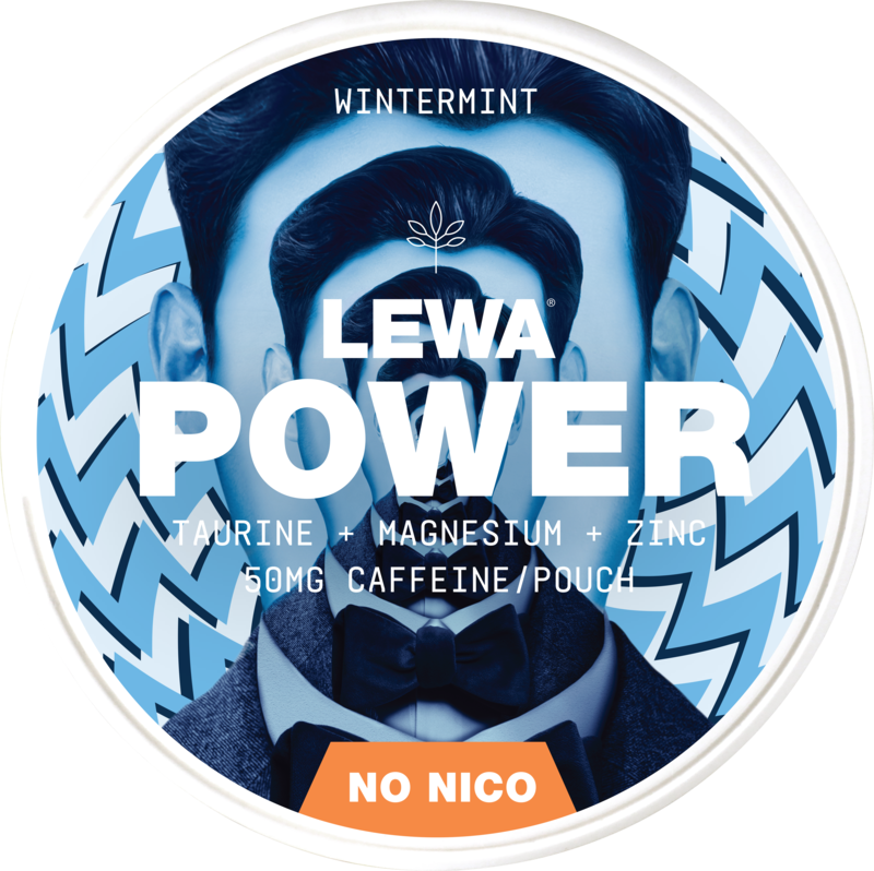 Lewa Power Wintermint ShopSnus