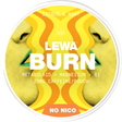 Lewa Burn Citrus Mint ShopSnus