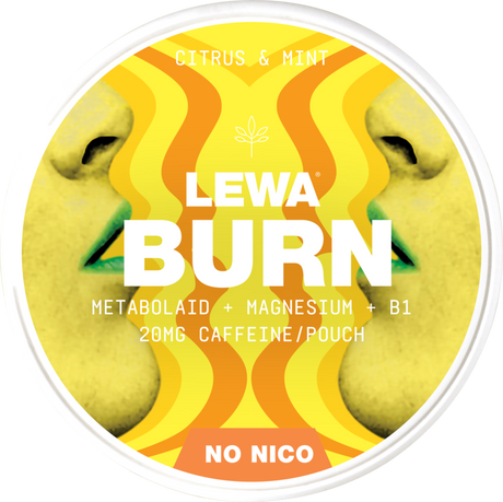 Lewa Burn Citrus Mint ShopSnus