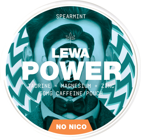 Lewa Power Spearmint ShopSnus