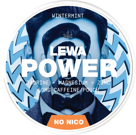 Lewa Power Wintermint ShopSnus
