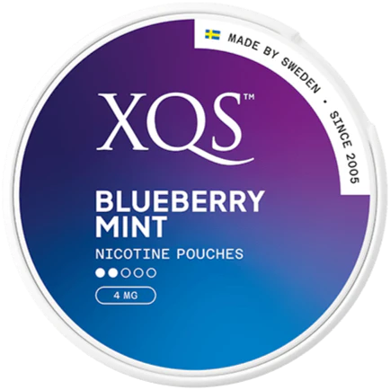 XQS Blueberry Mint Light Side
